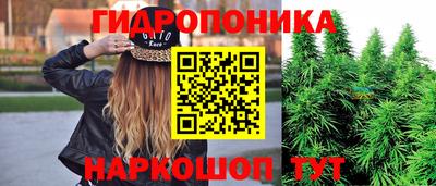 мяу мяу мука Бугуруслан