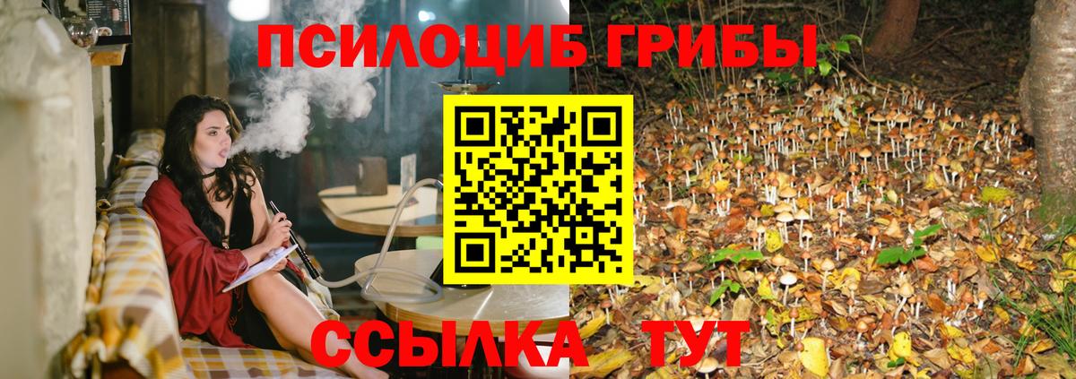 Галлюциногенные грибы ЛСД  Вход с VPN  Надым 