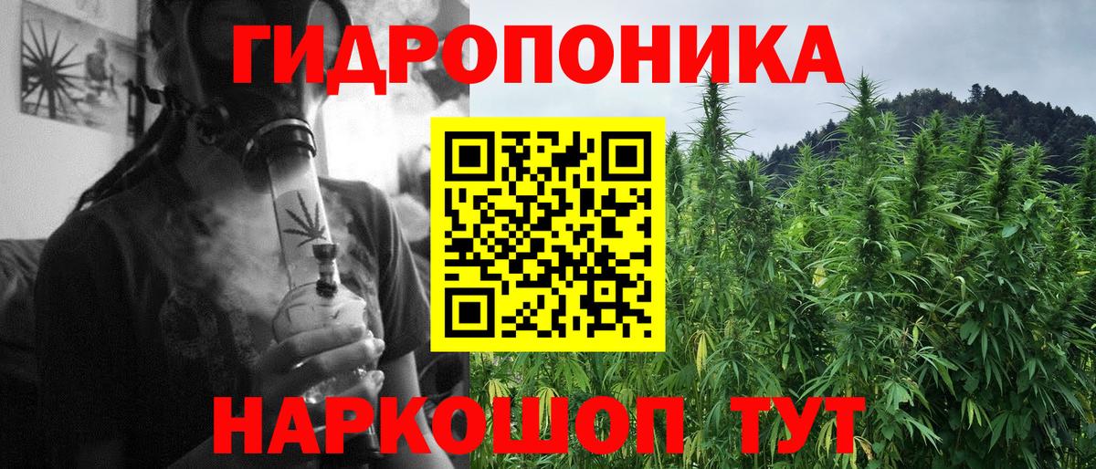 Бошки марихуана план Надым